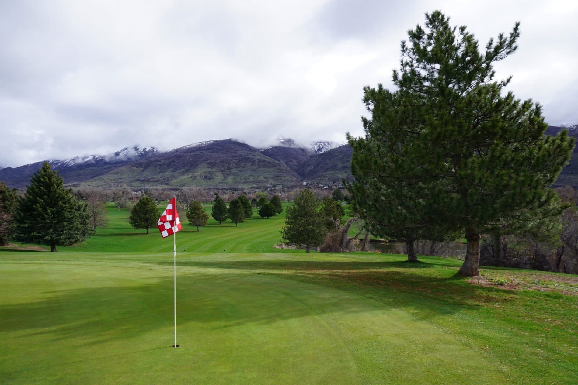 Course-branded QR code lost equipment label for golf courses